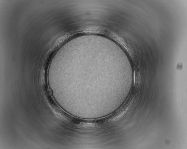 X0000098110205200805021141