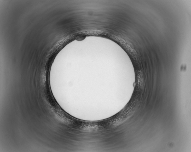 X0000098110206200805021141