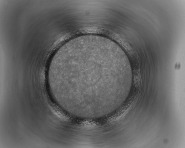 X0000098110207200805021140