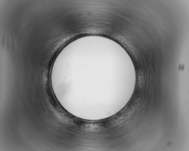 X0000098110208200805021140