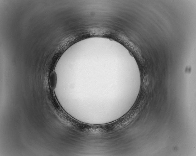 X0000098110209200805021140