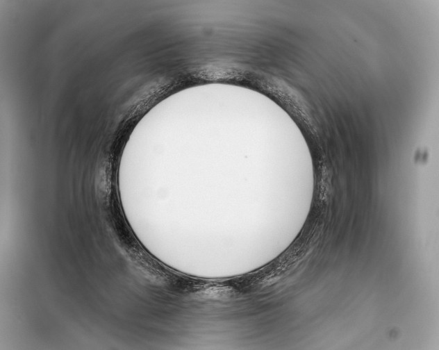 X0000098110210200805021140