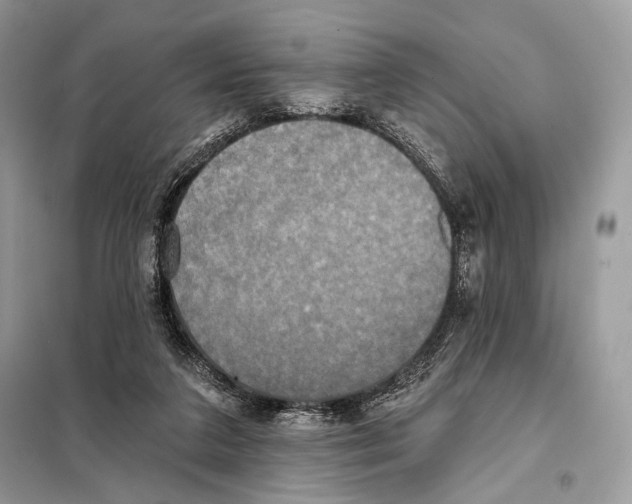 X0000098110211200805021140