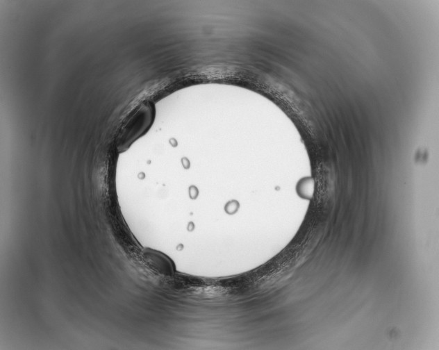 X0000098110212200805021140