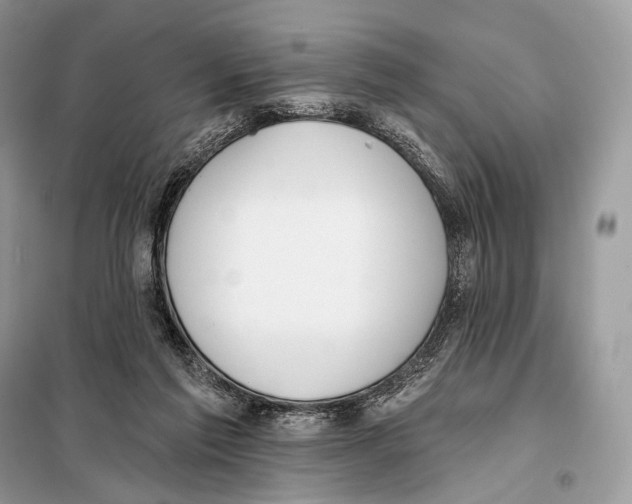 X0000098110213200805021140