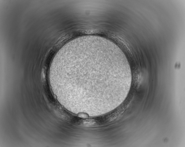 X0000098110214200805021140