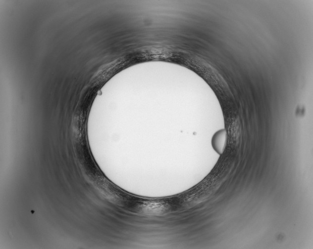 X0000098110218200805021140