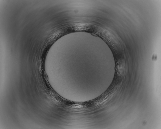 X0000098110219200805021140