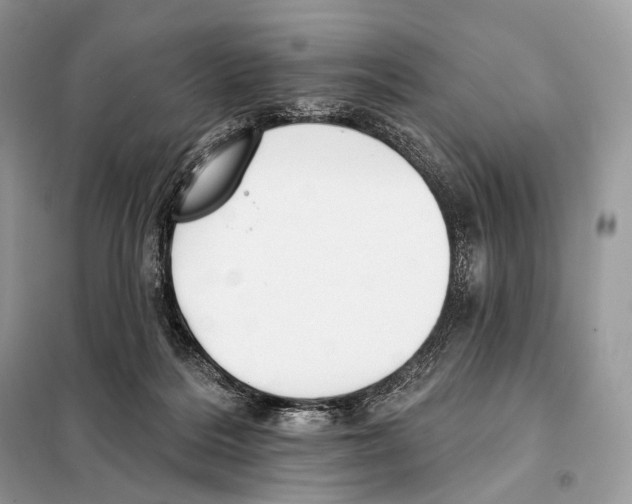 X0000098110220200805021140