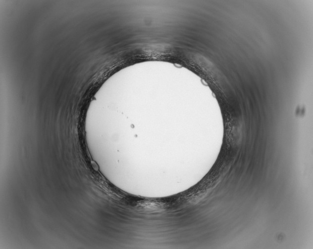 X0000098110221200805021140