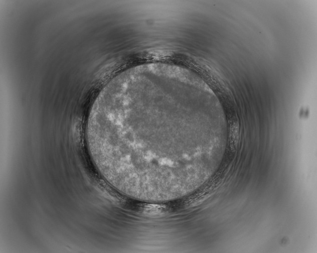 X0000098110222200805021140