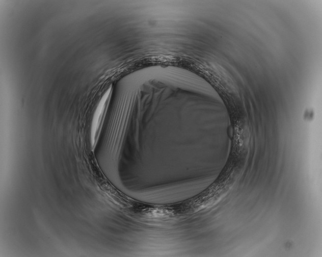 X0000098110223200805021140