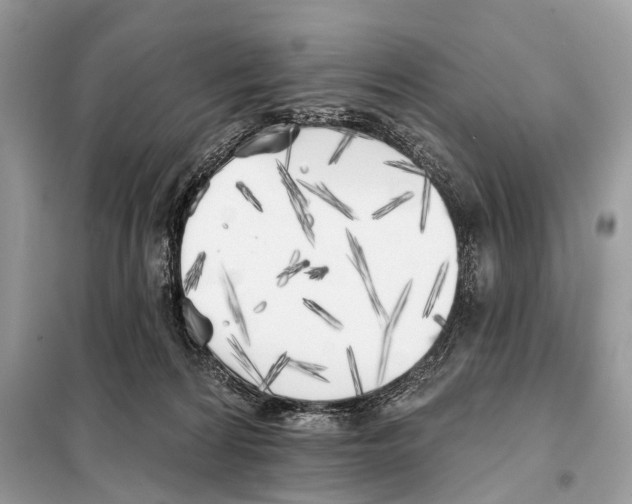 X0000098110224200805021140