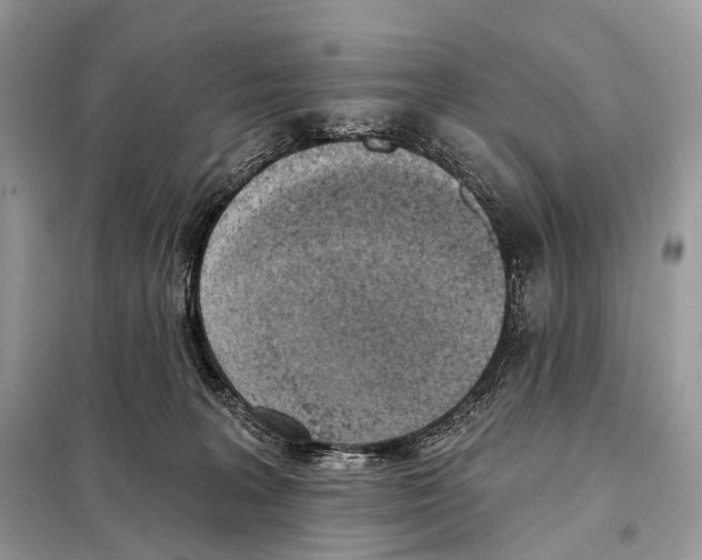 X0000098110227200805021140