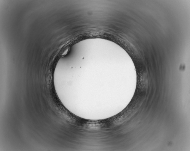 X0000098110228200805021140