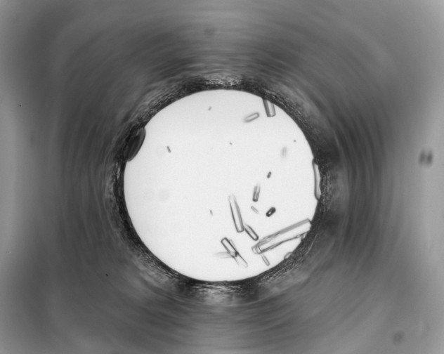 X0000098110229200805021140