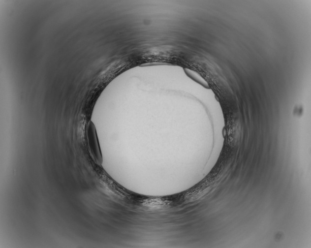 X0000098110231200805021140