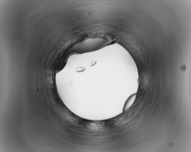 X0000098110232200805021140