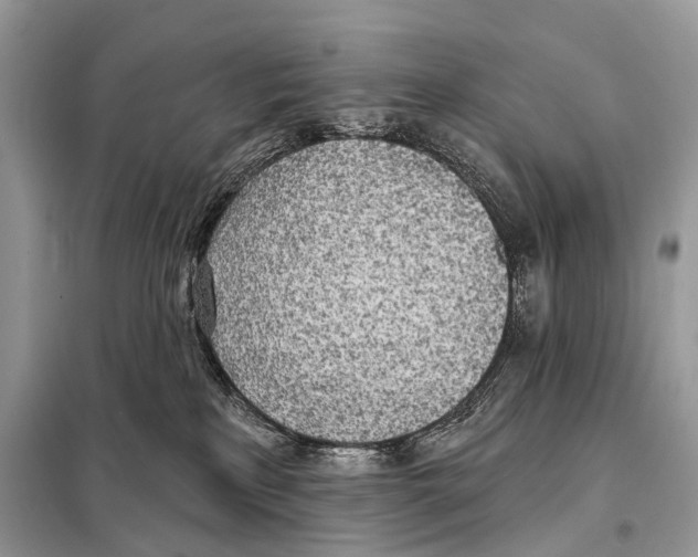 X0000098110233200805021140