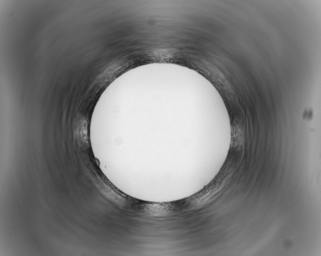 X0000098110238200805021140