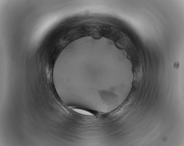 X0000098110239200805021140