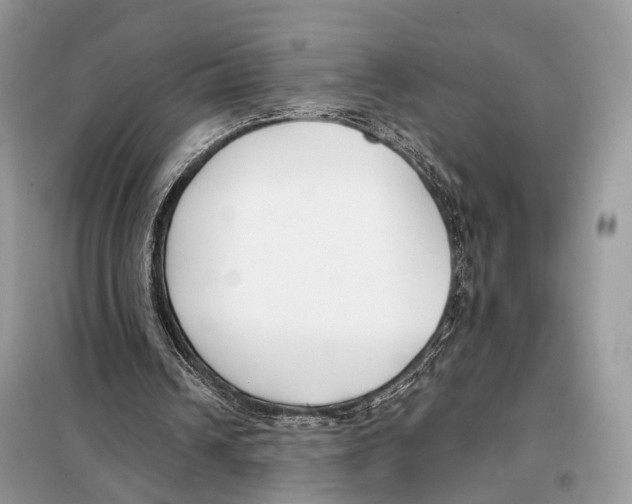 X0000098110242200805021139