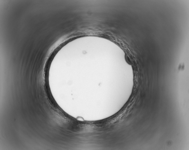 X0000098110246200805021139