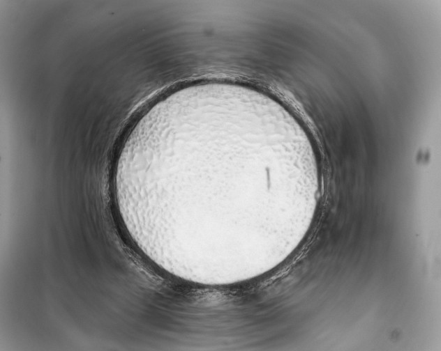 X0000098110249200805021139