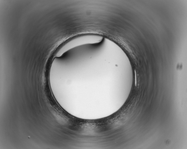 X0000098110252200805021139