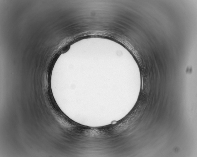 X0000098110253200805021139