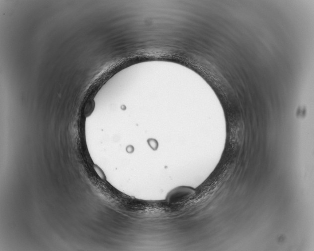 X0000098110256200805021139