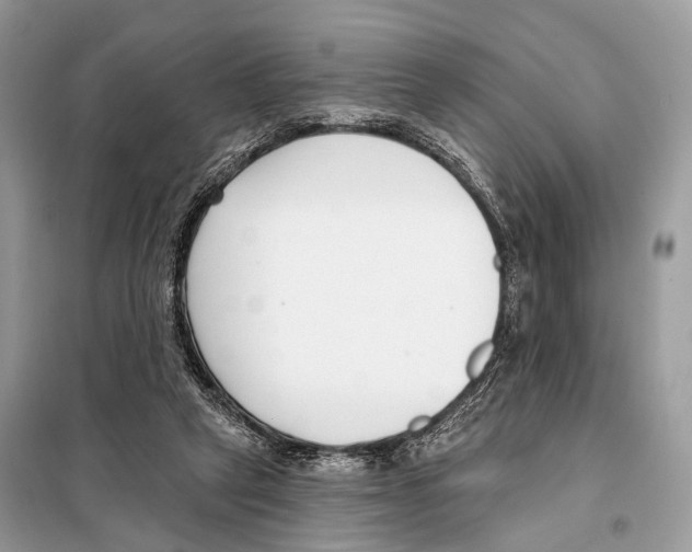 X0000098110257200805021139