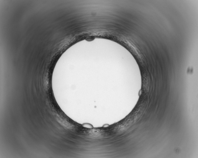 X0000098110261200805021139