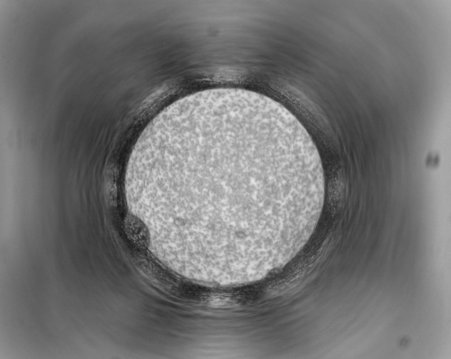 X0000098110264200805021139