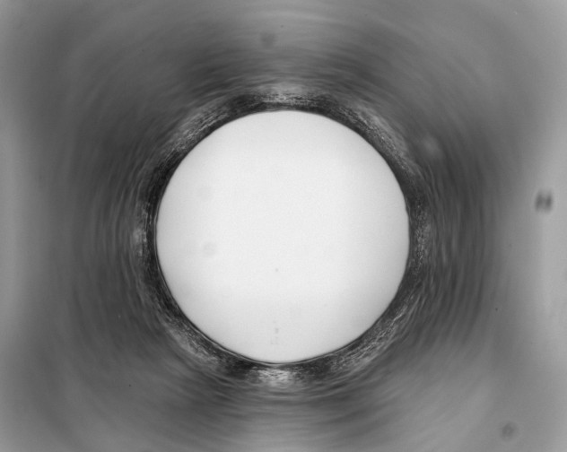 X0000098110265200805021139