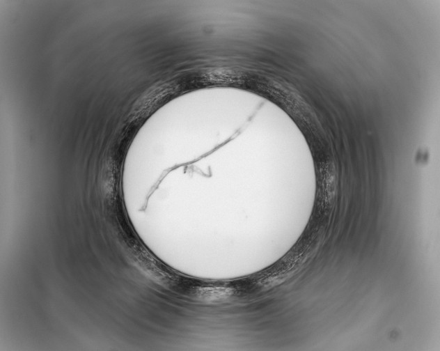 X0000098110266200805021139