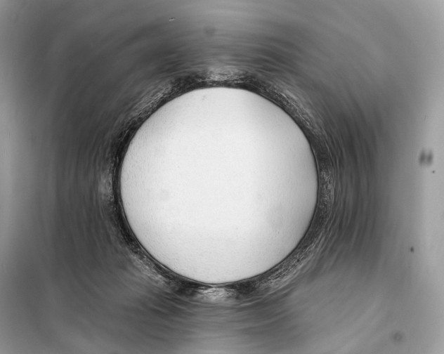 X0000098110269200805021139