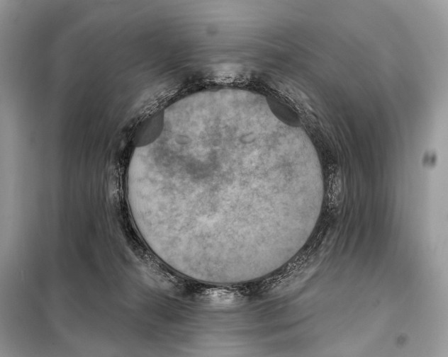 X0000098110272200805021139