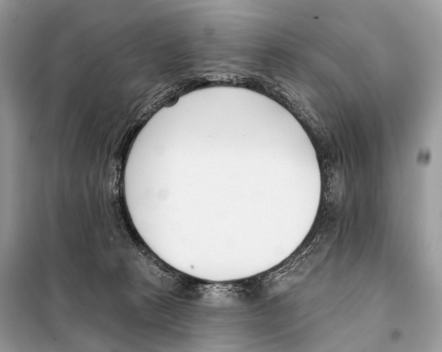 X0000098110273200805021139