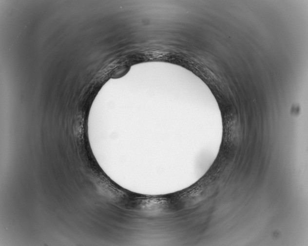 X0000098110274200805021139