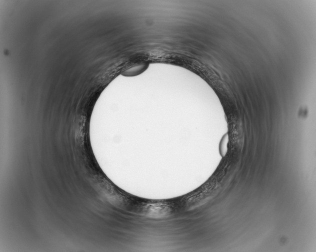 X0000098110275200805021140