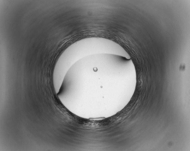 X0000098110276200805021140