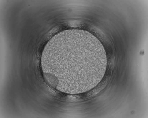 X0000098110277200805021140