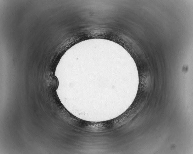 X0000098110278200805021140