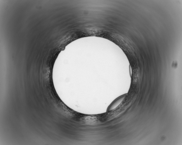 X0000098110279200805021140