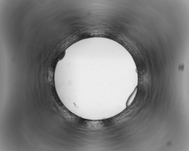 X0000098110281200805021140