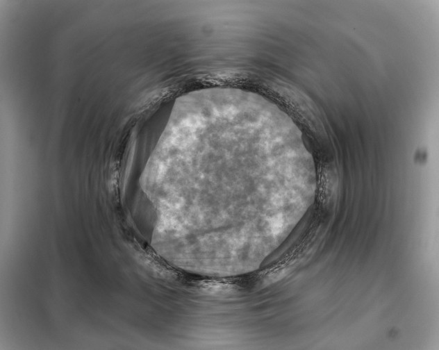 X0000098110284200805021140