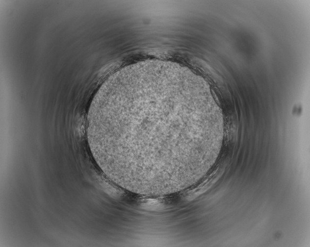 X0000098110285200805021140