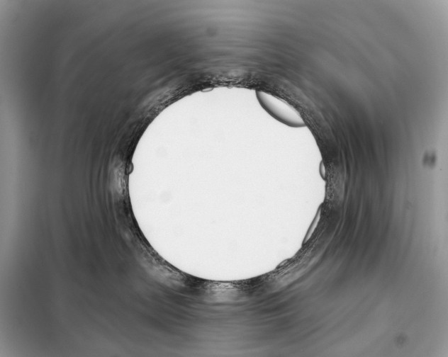 X0000098110287200805021140