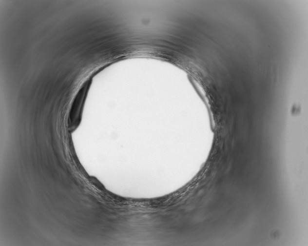 X0000098110289200805021139